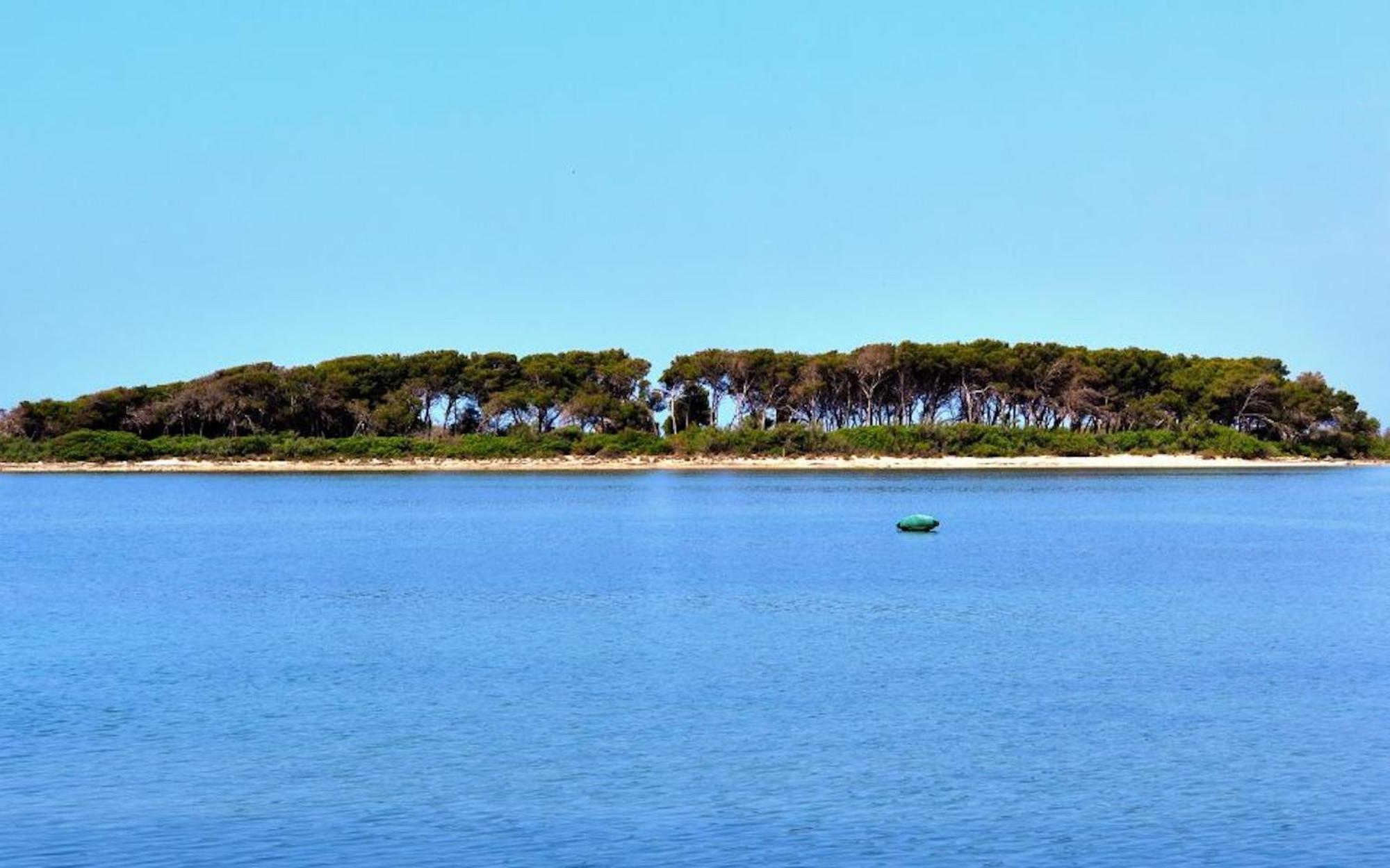 Villa Fiorella Porto Cesareo Primo Piano 2 Locali エクステリア 写真